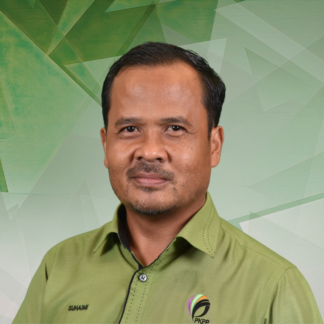 Pengurus Teknologi Maklumat